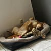 Lita aus Bochum