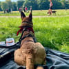 Lita aus Bochum