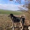 Nika ist ne Eigenbrödlerin mit Ecken