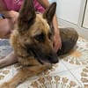 Sara ein dringender Notfall