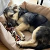 Kiko ist voller Lebensfreude 🐾