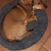 VICKY will deine Einzelprinzessin sein😍