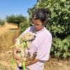 ENYA (Animalea)