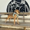 ZIVA (Animalea)