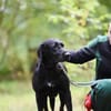 Dalli Beschreibung folgt