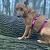 Emily🧡🧡🧡sucht Herzensmenschen