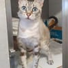 Perla sucht Liebe