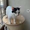 Kira & Mira Freundliche liebe Schwestern