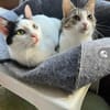 Kira & Mira Freundliche liebe Schwestern