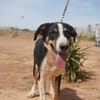 CARLOS (Maria)