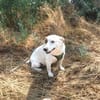 Bella ein bezauberndes Mädchen