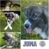 JUMA * freundlich, zurückhaltend