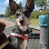 Sandra wünscht sich eine Familie