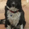 MOLLY - 37 cm kompakte Lebensfreude!