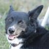 MOLLY - 37 cm kompakte Lebensfreude!