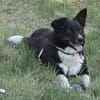 MOLLY - 37 cm kompakte Lebensfreude!