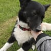 MOLLY - 37 cm kompakte Lebensfreude!