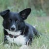 MOLLY - 37 cm kompakte Lebensfreude!