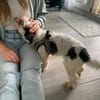 KALINE ❤ sucht ihr Für-immer-Zuhause