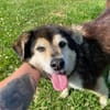 Clara, fitte Seniorin su. 1. Zuhause