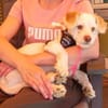 Charakterkopf Lucky sucht dich!