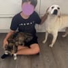 ❤ Bongo, Pflegefamilie 41812 Erkelenz
