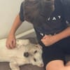 ❤ Bongo, Pflegefamilie 41812 Erkelenz