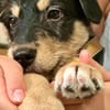 Mini Mina - kleiner Wirbelwind