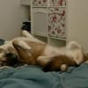 Wunderbare Rey  alles auf Anfang!🐶