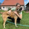 Wunderbare Rey  alles auf Anfang!🐶