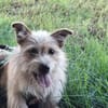Celina sucht eine aktive Familie