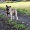 Celina sucht eine aktive Familie