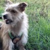 Celina sucht eine aktive Familie