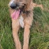 Winston wartet auf seine 2. Chance