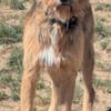 Winston wartet auf seine 2. Chance