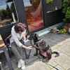 SABINA -ruhig & verschmust-