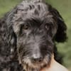 Xaver - Senior sucht Senior:in