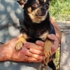 Lidia in 82362 Weilheim #