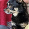 Lidia in 82362 Weilheim #