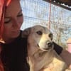 Goldschatz ENYA sucht ihr zu Hause