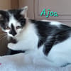 ajoa