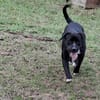 Marley (réservé)