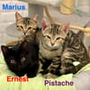 Ernest Marius Pistache