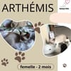 ARTHEMIS