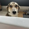 Zeke