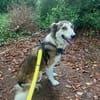 Zeke