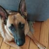 Runa sucht sportliche Menschen