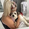 Liebevoller, kleiner Familienhund