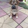 Aron sucht ein Zuhause