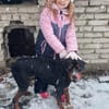 Tobi der kinderfreundliche feine Jerl